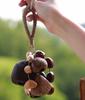 Nut Shell Hand Bells Meditation Diapason Hand Bell Mindfulness Yoga Relaxation Wind Chime Sound Healing Musical Instruments Bell