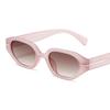 Fashion Cat Eye Thick Frame Sunglasses Women Men Brand Designer Retro Polygon Sunshade Glasses Travel Driving Beach Party Eyewea
