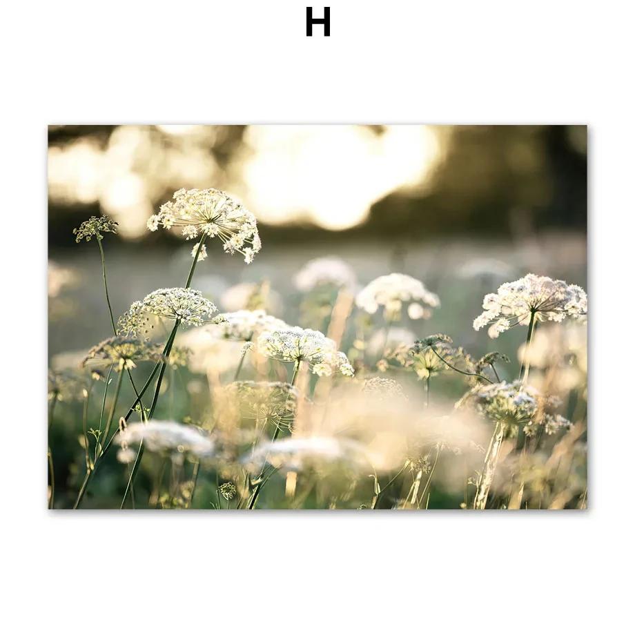 Lake Bridge Mountain Forest Grass Boat Wall Art Canvas Painting Nordic Posters And Prints Wall Pictures For Living Room Decor