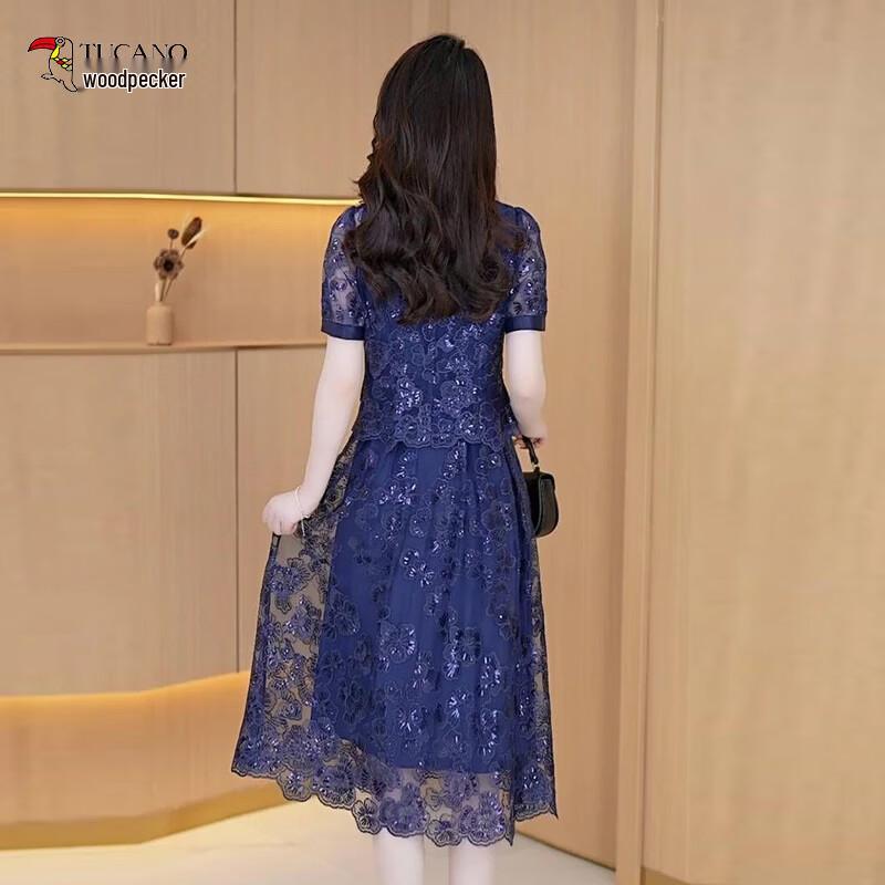 Woodpecker Women's Summer Lace Mesh Two-Piece Dress