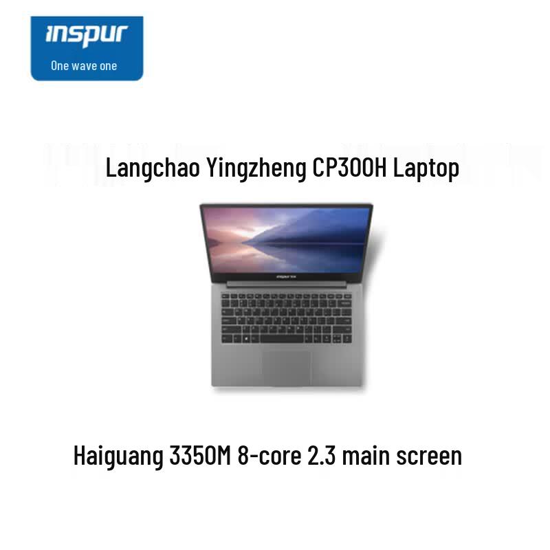 INSPUR CP300H2 14-inch Business Laptop (CN version) серый