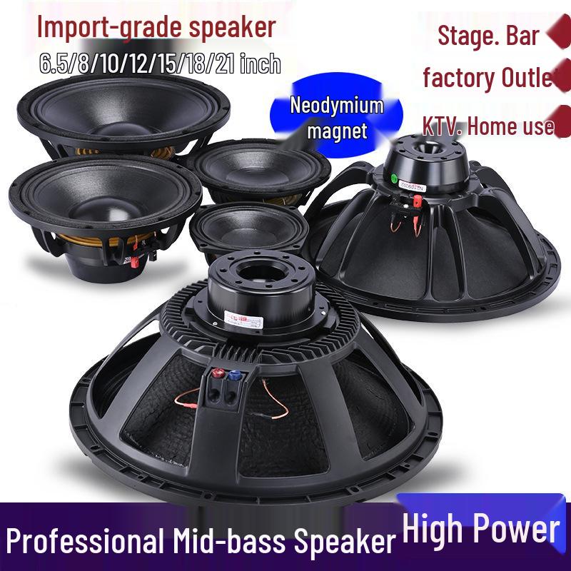 6.5-21 inch High-Power Mid-Bass Pro Stage Speaker with Neodymium Magnet