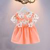 Summer Baby Girl's Fashion Floral Dress Sweet Doll Collar Princess Dress