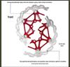 Plaquettes de Frein Flottantes pour Disque de VTT et Vélo Électrique - Rotor 160/180mm Équipement de Cyclisme