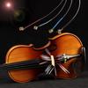 Violin Strings 4/4 Professional 3/4 Violin Strings E-A-D-G Core Musical Instrument Parts Aluminum Violin Accessories