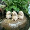 Cute Simulated Hedgehog Resin Animal Ornaments, Decorative Items for Courtyards, Living Rooms, Tabletops, Bookcases, and Handicrafts