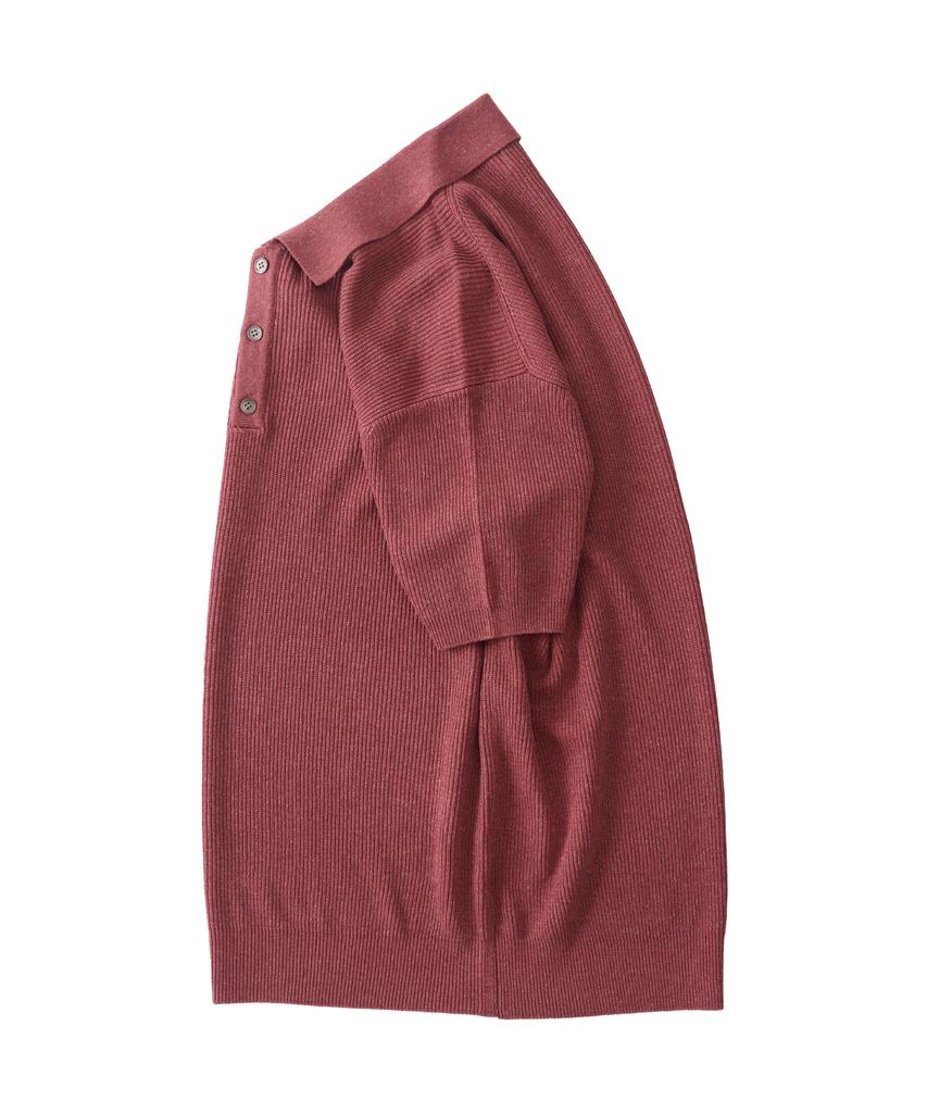 ANALOG MOOD Hacci Button-Up Collar Short Sleeve Knit (Brick)