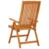 Folding Garden Chairs 2 pcs Solid Eucalyptus Wood
