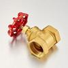 Zhu Yun Forged Brass Globe Valve