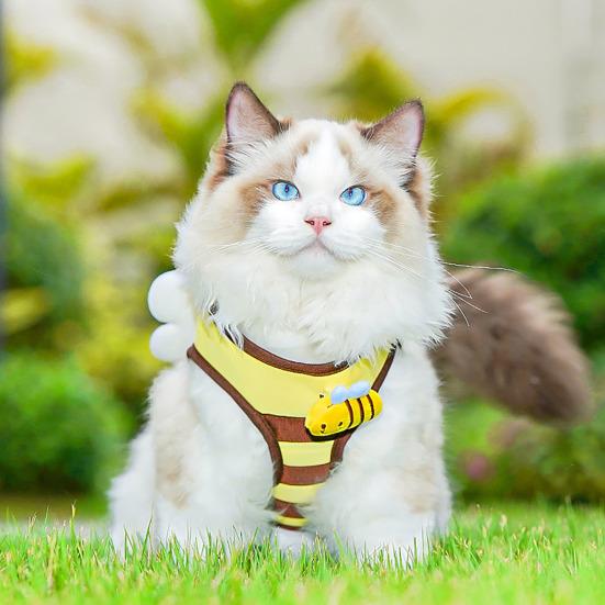 Bee Shaped Small Dog Harness And Leash Set Cartoon Puppy Walking Vest Harness with Wing for Small Dogs Cats