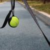 Tennis Ball Bag Lightweight Tennis Ball Holder with Hands-free Dog Leash Attachment Easy Installation Pet Supplies for Active