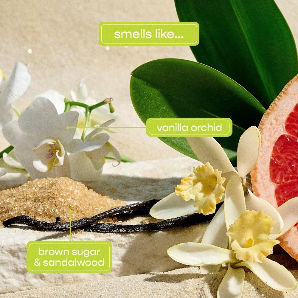 Shampoohotel Rio Volume Shampoo 13.5 Oz