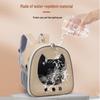 Transparent Portable Cat Backpack: Spacious, Breathable, Comfortable Pet Carrier for Outings