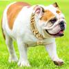 Starkes Metall Titan Massiver Stahl Halsband 32mm Edelstahl Gold Hundehalsband Beschriftung Individuelle Kette Bully Französisch Kampf Großer Hund
