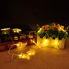 Led Halloween String Lights Pumpkins Spiders Skeleton Window Decor Fairy Lights