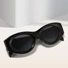 1pc European American Cat Eye Oval Sunglasses Women High-end Fashion Street Photography Accessory