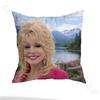 Retro Classic D-Dolly P-Parton Pillow Case Anti-dustmite Pillowcase Invisible zipper silky short plush Sofa cushion cover