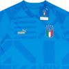 Puma Logo Print Training Short Sleeve T-Shirt 2022-23 Season Italy National Team Men Tops Blue 767050-17