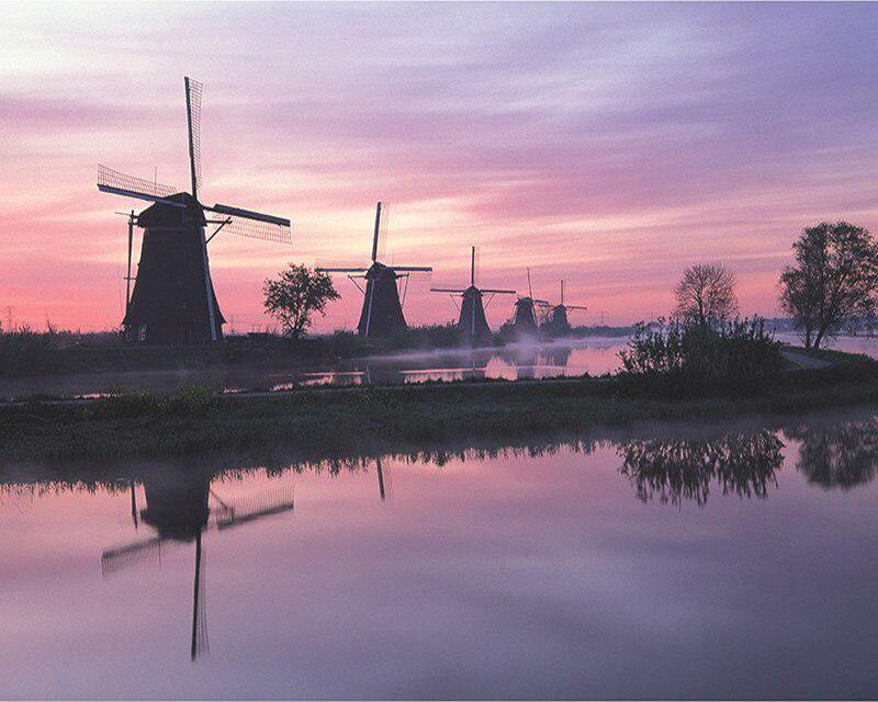 5D Diamond Painting Yard Animals Full Square Round Diamond Embroidery Full Set Watercolor Brown Dog Diamond Mosaic Craft Kit Home Decor