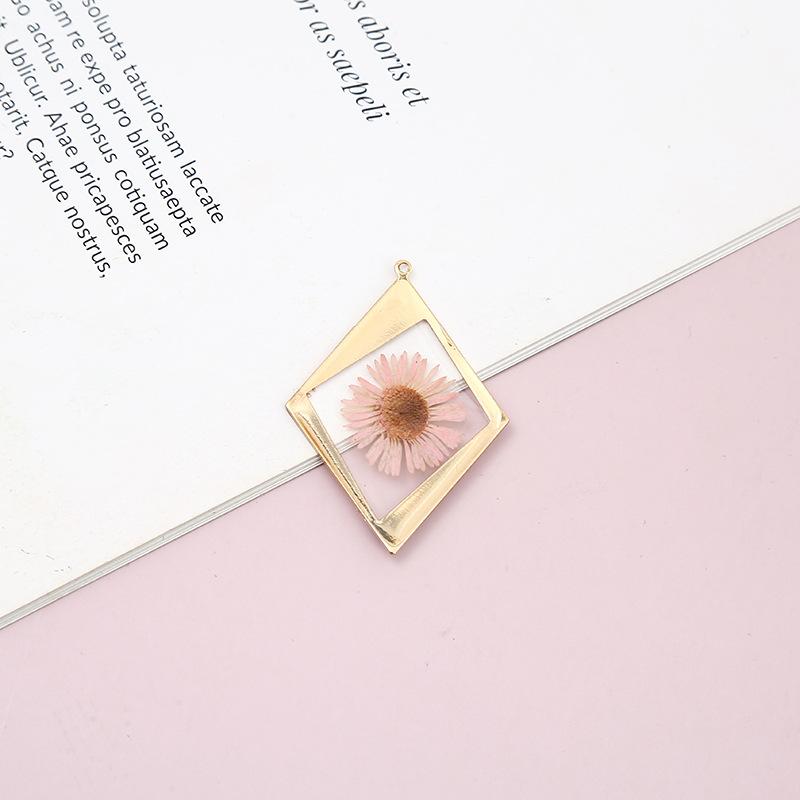 Womens Earrings Pendant 2023 Blingbay Retro Trend Transparent Resin Natural Dried Flower Earrings Fashion Jewelry Accessories Modern Jewelry Gifts