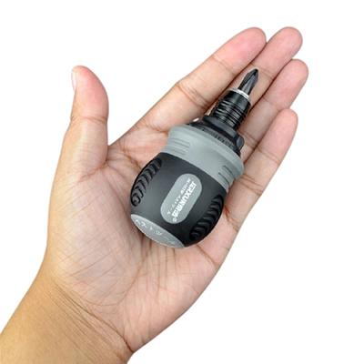 Mini-Passschraubendreher mit Ratsche für die Heimreparatur, arbeitssparend, doppelköpfig, Torx, manuelle Reparaturwerkzeuge, Mini-Schraubendreherwerkzeuge für Zuhause