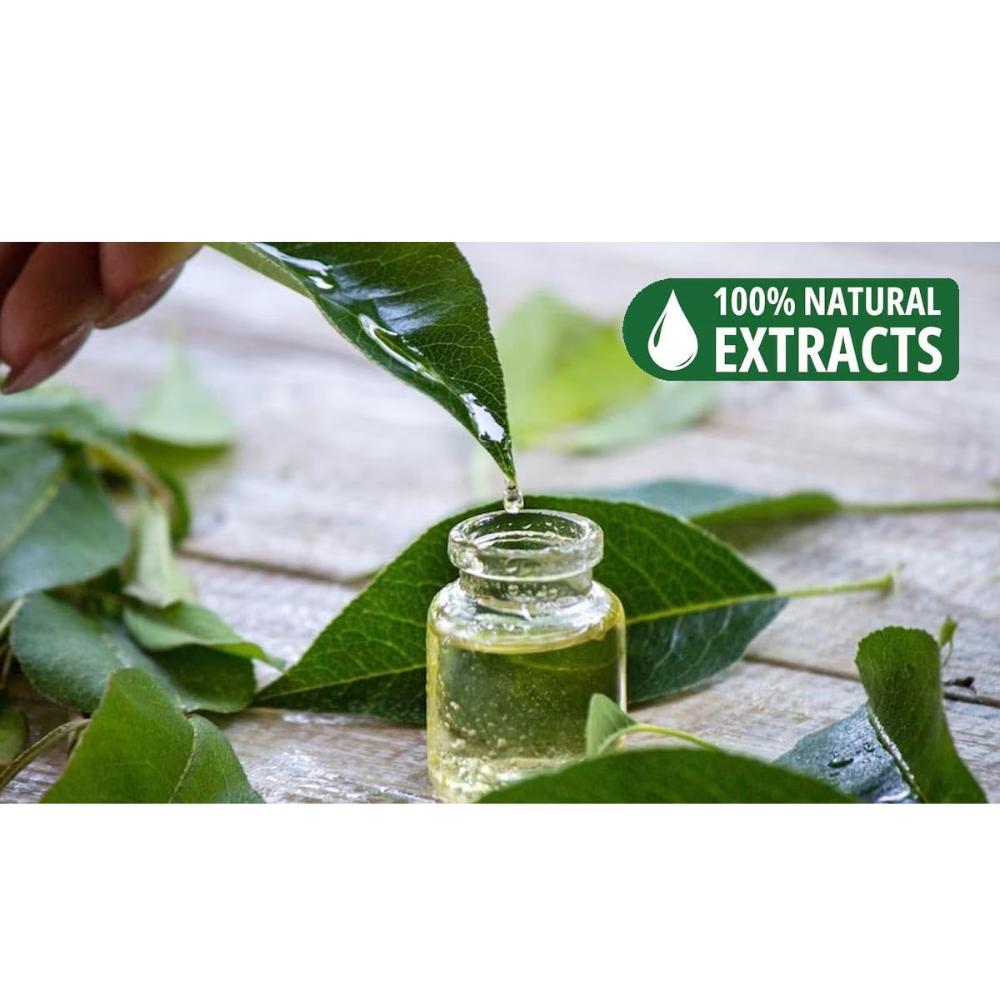 Bless-Grüntee-Räucherstäbchen 100%-Natur-Handgemacht-Handgetaucht-Räucherstäbchen Bio-Chemikalien-Frei für-Reinigung-Entspannung-Positivität