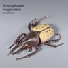 Wild Insect Insect Animals Model Longhornedbee Lifelike Insect Figurines  Desktop Ornament