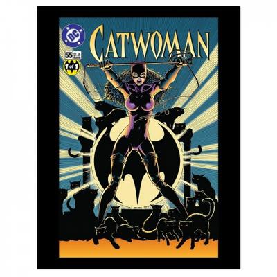 Comic-Cover Catwoman-Druck