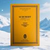 Schubert Symphony No. 2 In B-flat Major - World Music Academies Teaching Series