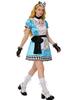 Alice in Wonderland Adult Cosplay Dress, Maid Outfit Halloween Party Costume for Women Role Play