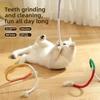 Katzen-Reizstab, Katzen-Beißseilspielzeug, Selbstbeschäftigung und Langeweile, Zahnungshilfe Gallapfel Katzen-Spielzeugprodukte, Kauen und Spielen