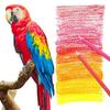 HIFORNY 80 Color Pencil Set with 72 Colors, Sketchbook, and 0.5 Sharp Pencil (80 Count)
