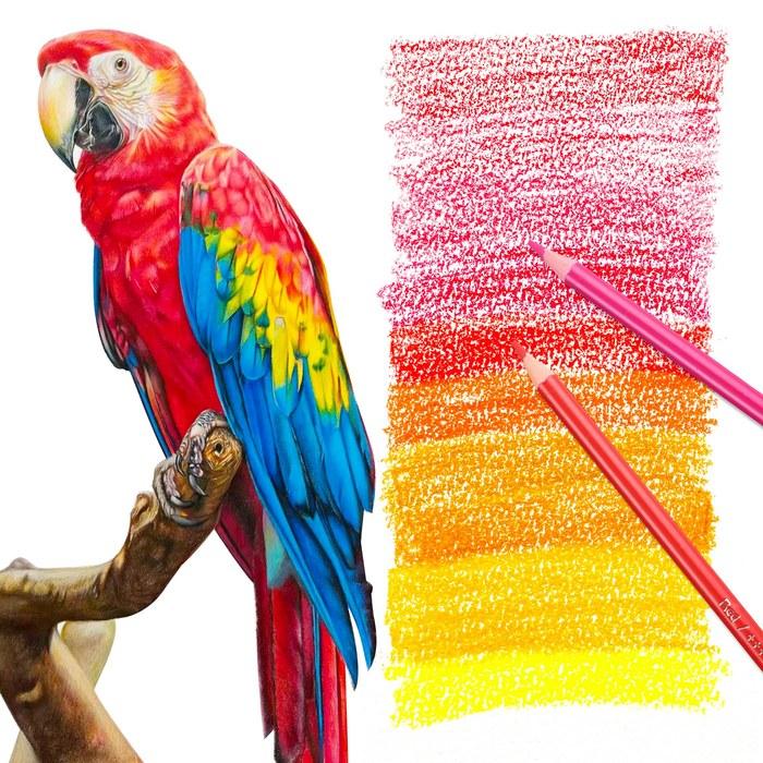 HIFORNY 80 Color Pencil Set with 72 Colors, Sketchbook, and 0.5 Sharp Pencil (80 Count)