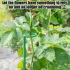 Plant Support Metal Ring Support Poles Tomato Trellis Climbing Plant Holder For Flower Tomato Vegetable Peony Orchid Outdoor