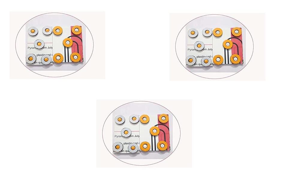 Sujok Therapy Chakra Magnet 10 Pcs (Packet 3, Large)