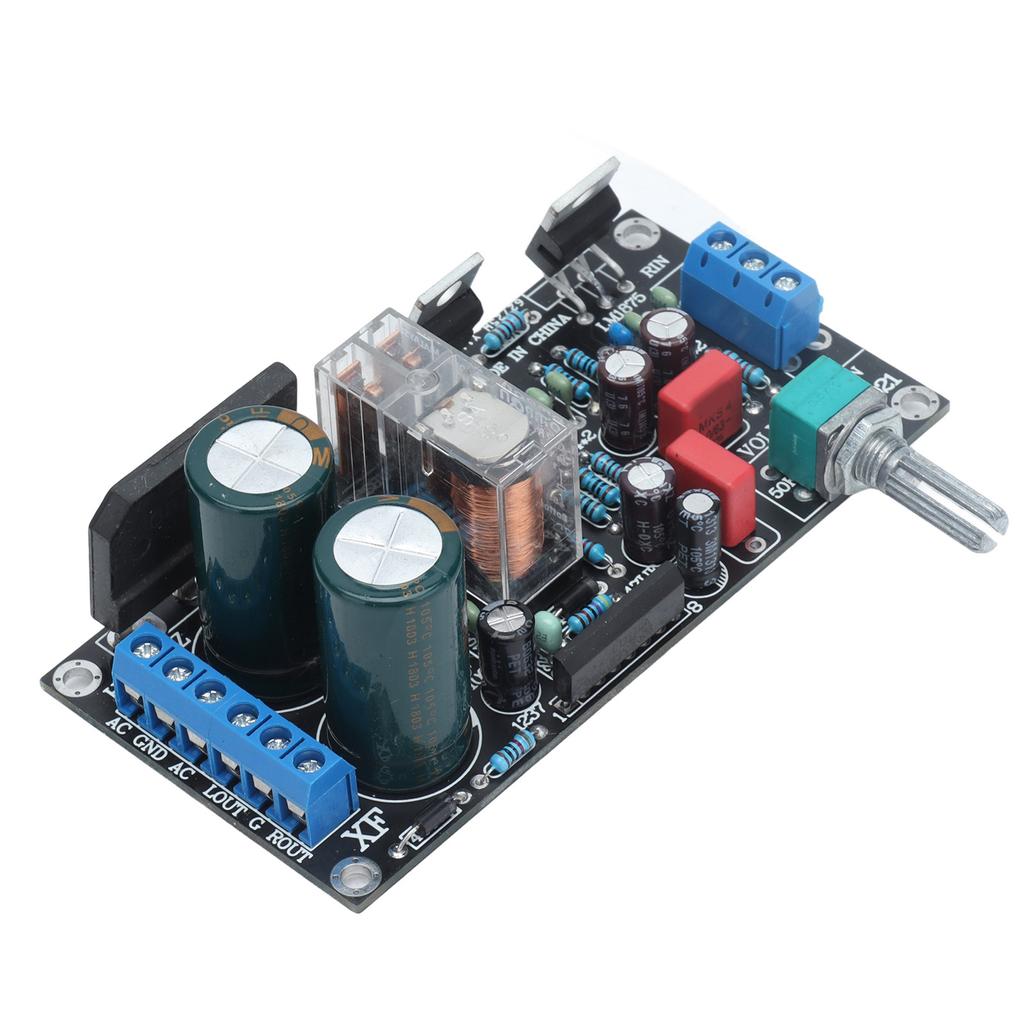 Scheda Amplificatore 2.0 Doppio Canale Protezione Altoparlanti Volume Regolabile LM1875T per 2030