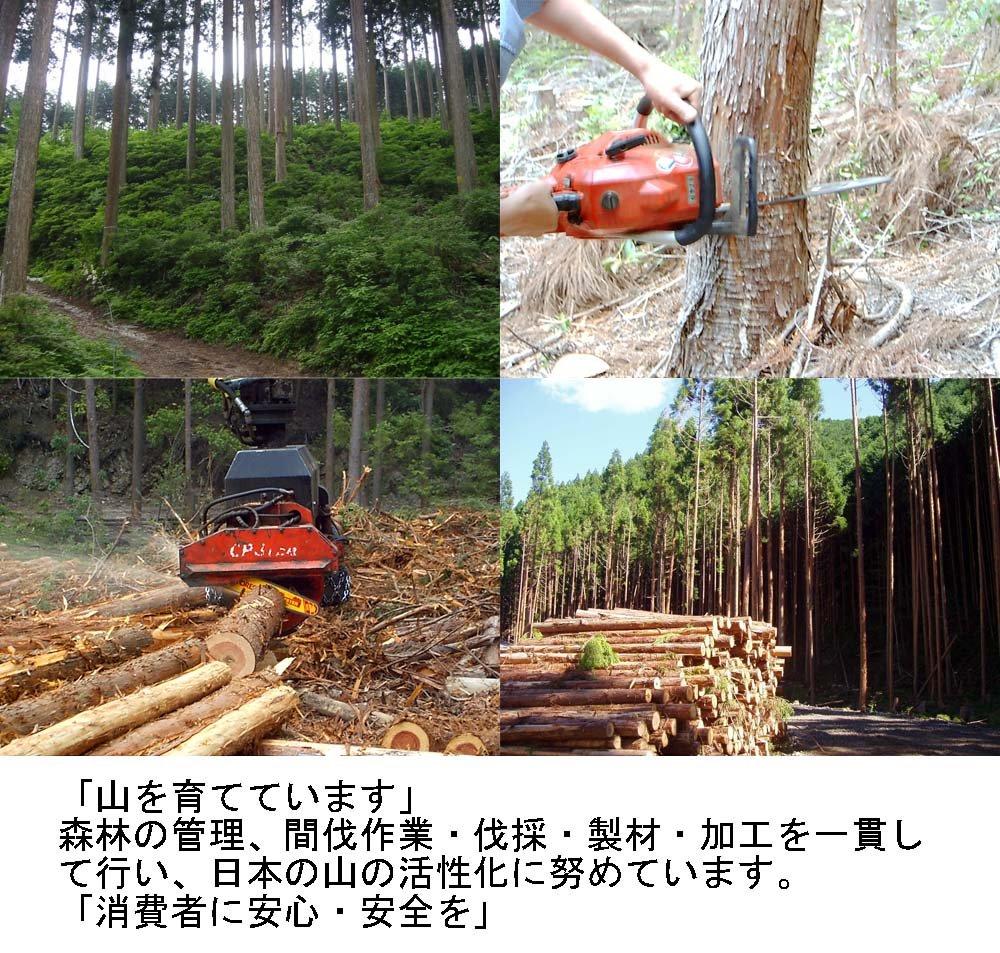 Ikegawa Wood Handy Stand, Hinoki Wood, Elephant Design, Natural, Approx. 39 x 27 x 12 cm, Made in Japan