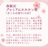 Masque Visage LULULUN Hydratant Protection UV Premium Lululun Sakura 7 pièces x 5 sachets (Parfum de Sakura)