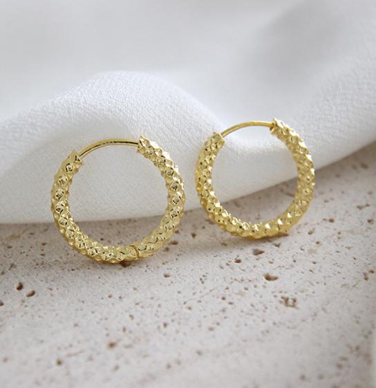 Fashion 925 Silver Earrings Jewelry Luxury 925 Sterling Silver 18K Gold Plated Hoop Earrings Jewelry for Women
