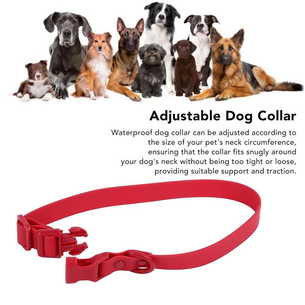 Elastic Webbing Pet Collar Pet Identification Safety Buckle Chain Waterproof Dog Collar Walking