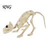 Reusable Halloween Skull Animal Skeleton, Realistic Fish Bird Spider Snake Cat Skeleton Model for Party, Haunted House, Graveyard Scene Decoration