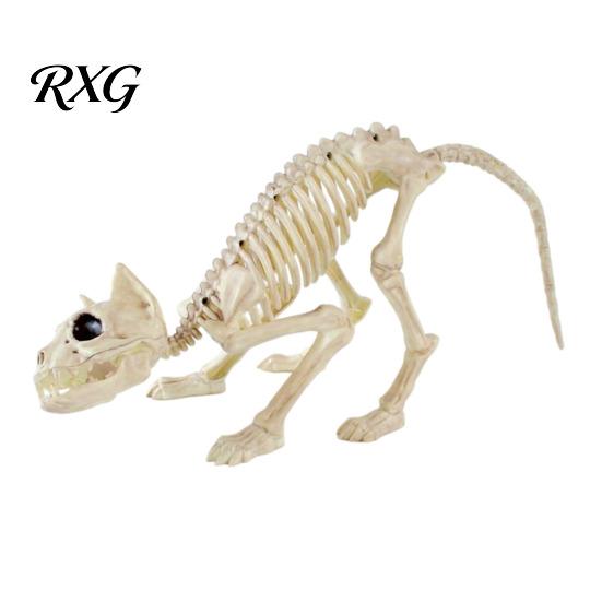 Reusable Halloween Skull Animal Skeleton, Realistic Fish Bird Spider Snake Cat Skeleton Model for Party, Haunted House, Graveyard Scene Decoration