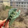 1pc Large Green Leaf Hair Claw Clip | Stylish Autumn Accessory for Women, Durable Plastic with Hollow Design