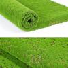 DIY Artificial Moss Carpet Durable Simulation Moss Sheet Fake Moss Grass Turf  Wall