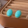 Ellipse Design Resin Stud Earrings Matte Metal Oval Earrings Party Jewelry  Women Jewelry