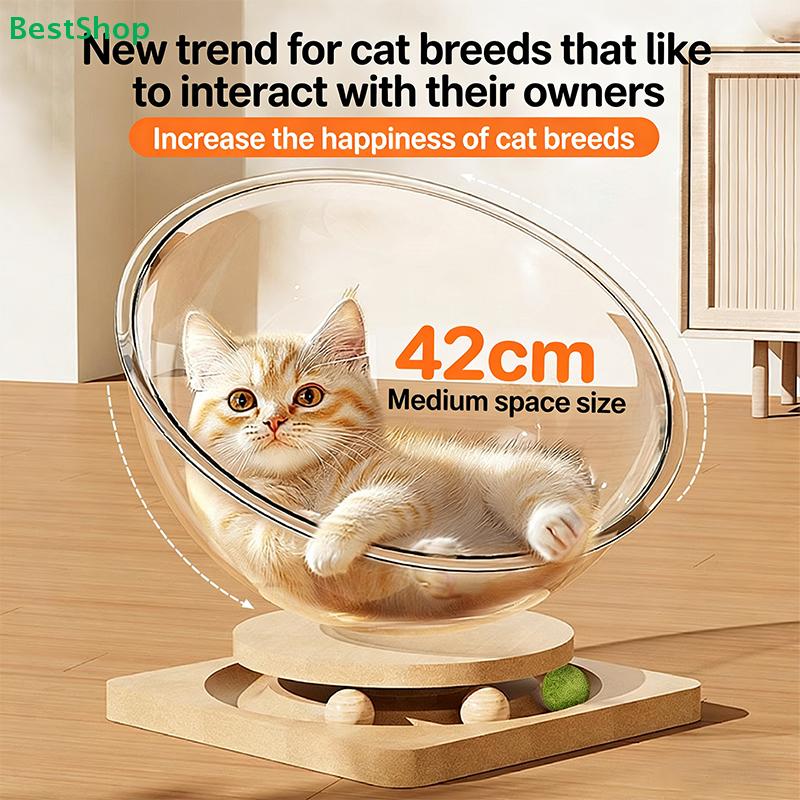 42cm Transparente Katzenliege, Rotierendes Katzenbett mit Interaktiven Spielzeugbällen für Mittlere Katzen