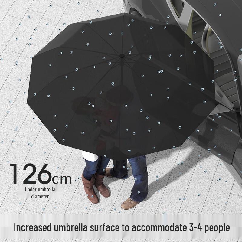 WanHuo (WH) Automatic Windproof Umbrella