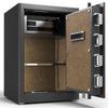 TIGER Bozhi Series Compact Safe