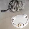 Cats Toy Electric Moving Mouse Teaser Interactive Mouse Toy for