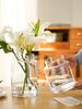 YHOMBES Glass Vase, Large, Stylish Flower Vase, Large, Transparent, Suitable for Hydroponics, Flower Arrangements, Artificial Flowers, Etc., Stylish a